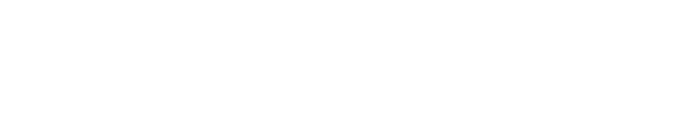 Thin blue horizontal line near the top against a white background.