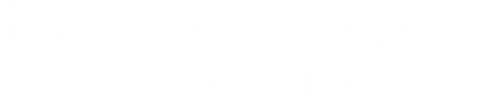 Thin blue horizontal line near the top against a white background.