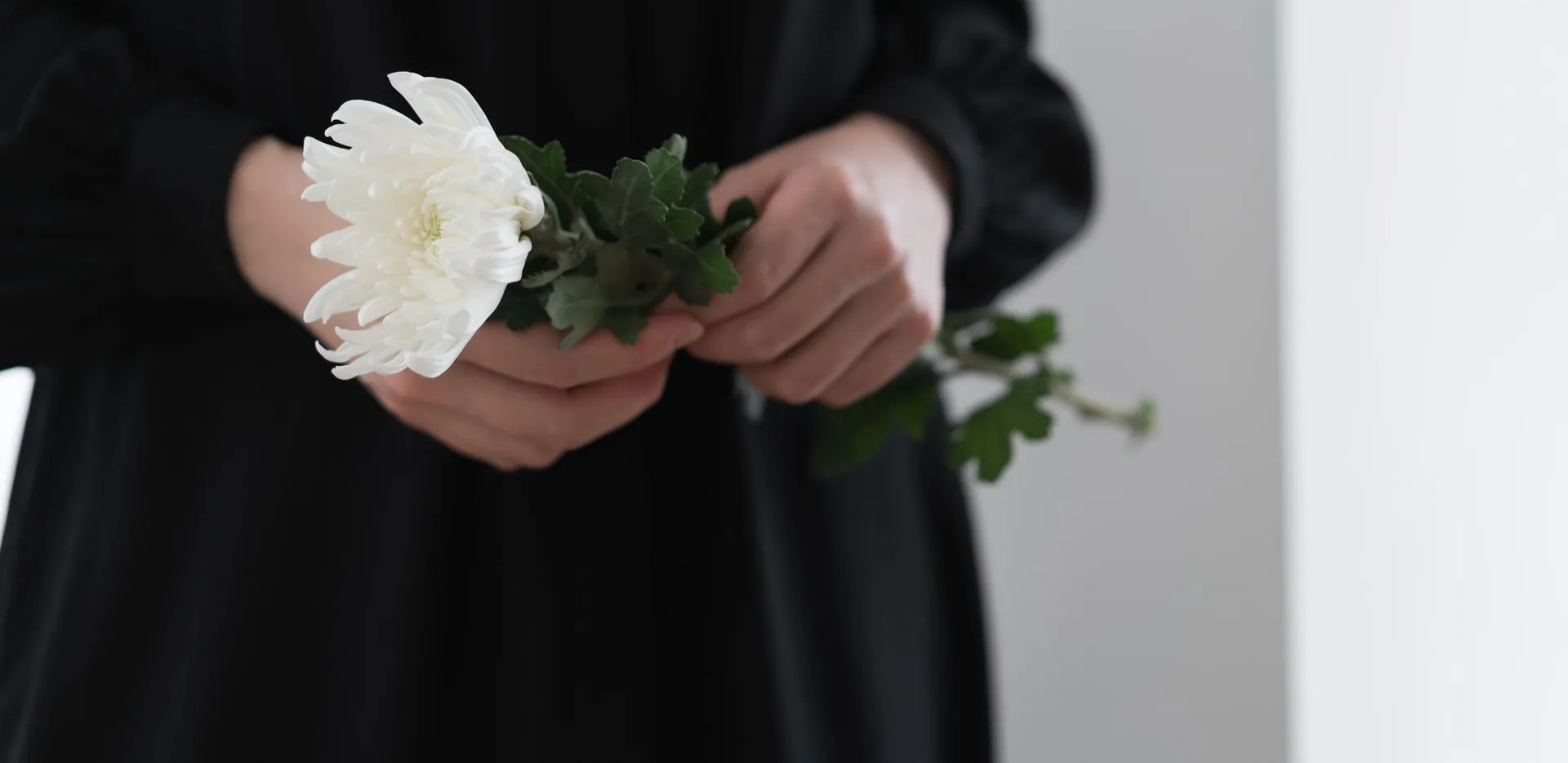 Hands holding a white flower bouquet against a dark background