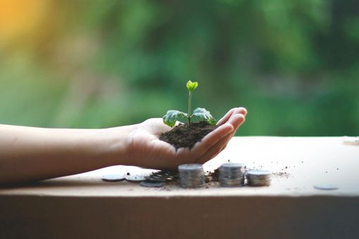 Hand holding a small seedling growing from soil, with a blurred green background and sunlight.