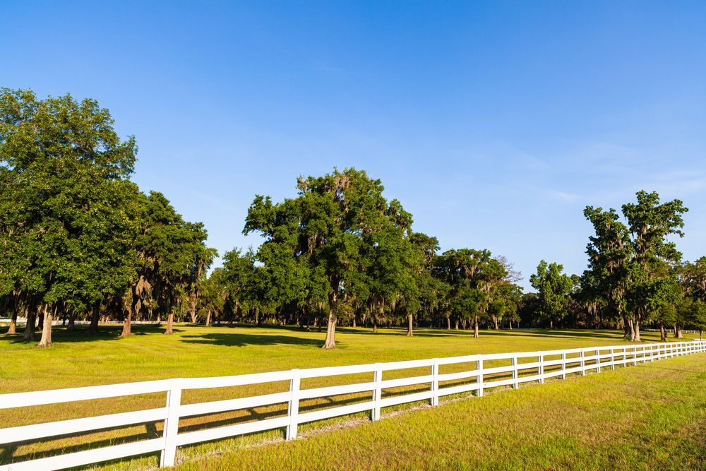 White fence along a grassy field with trees under a clear blue sky