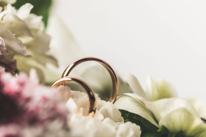 Due fedi nuziali d'oro adagiate tra fiori bianchi e rosa, delicatamente illuminate e con lo sfondo sfocato.