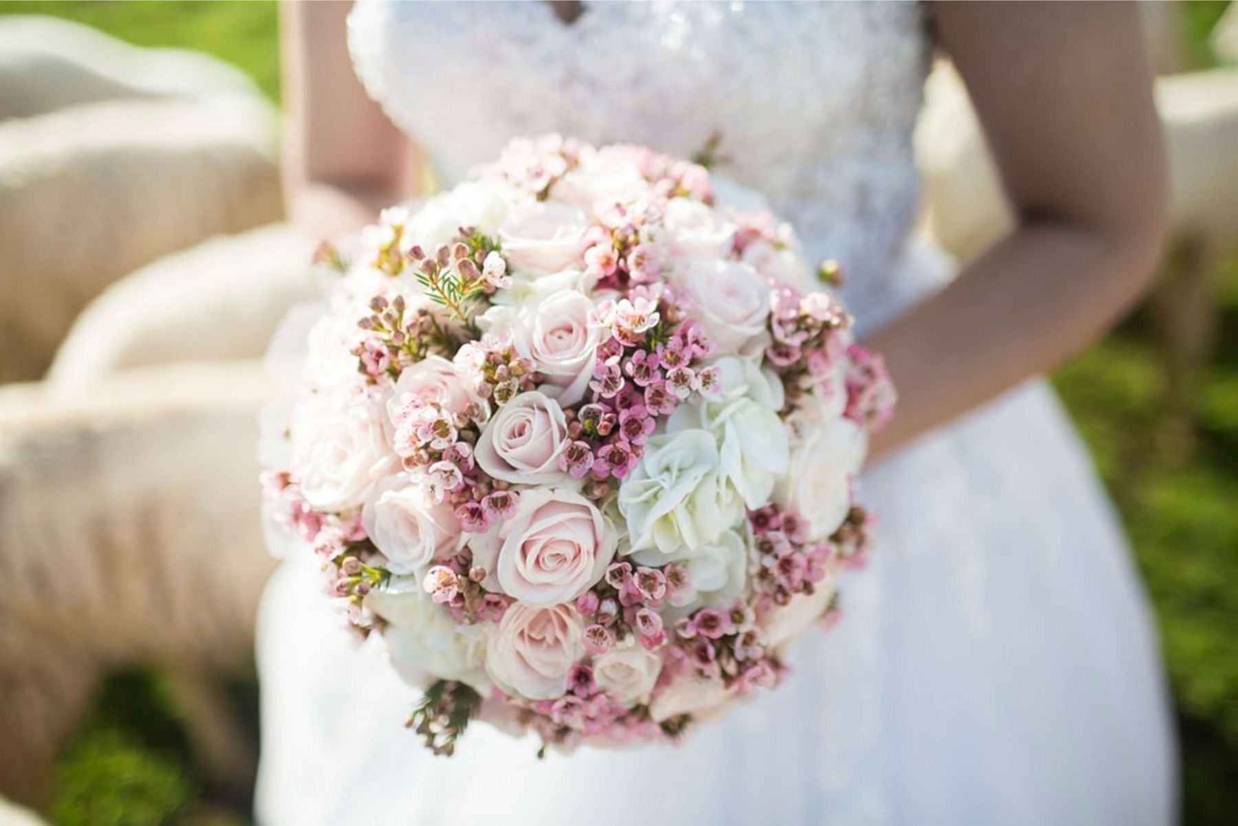 La sposa, con indosso un abito da sposa bianco, tiene in mano un bouquet di rose rosa pastello e bianche.