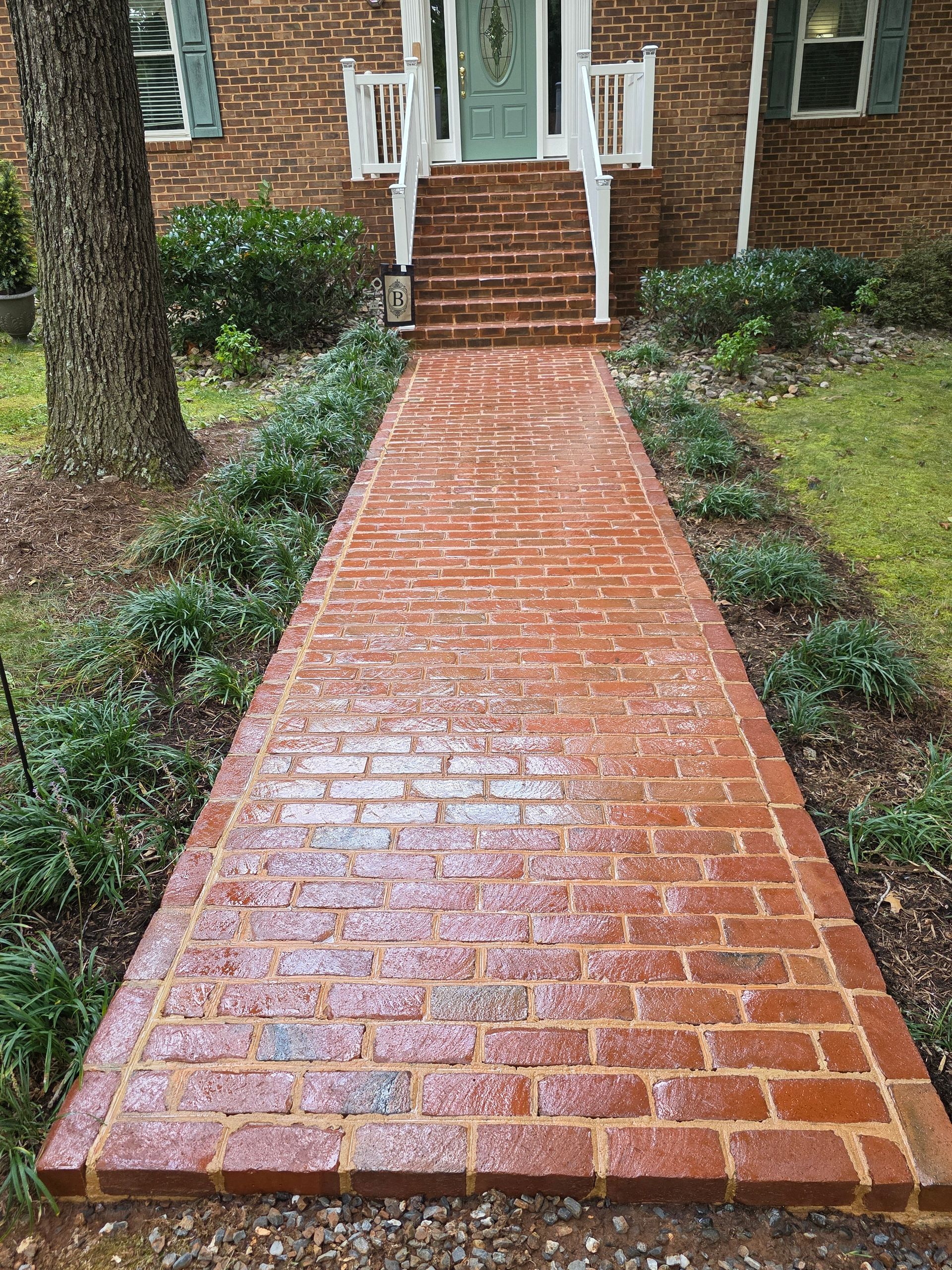 Brick walkway leading to a brick home's front door, lined with green plants, and a large tree to the side.