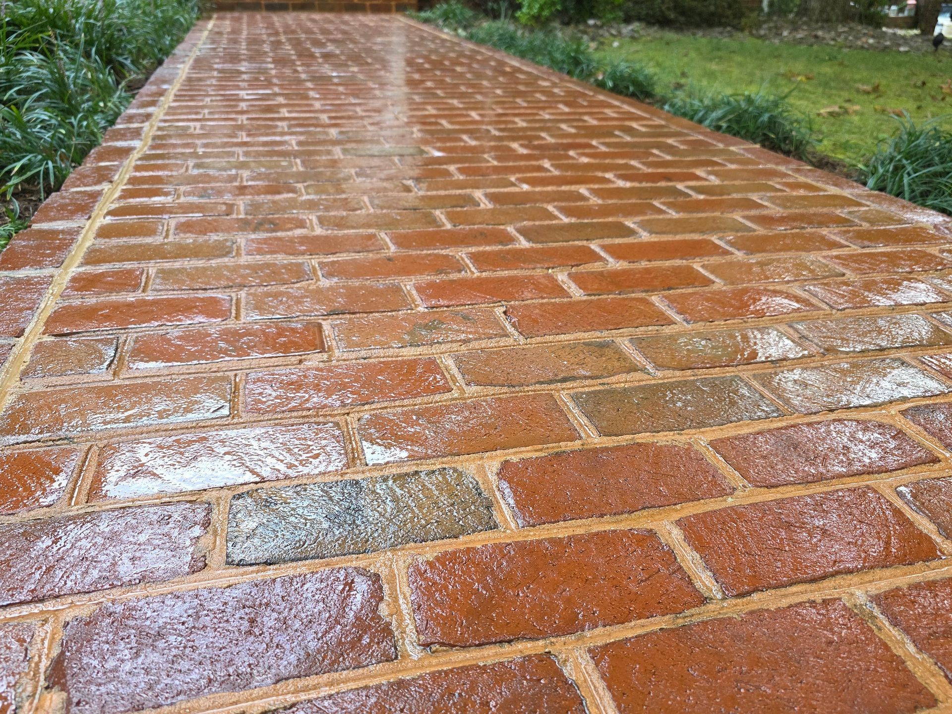 Brick walkway, reddish-brown bricks, wet surface, bordered by green plants and grass.