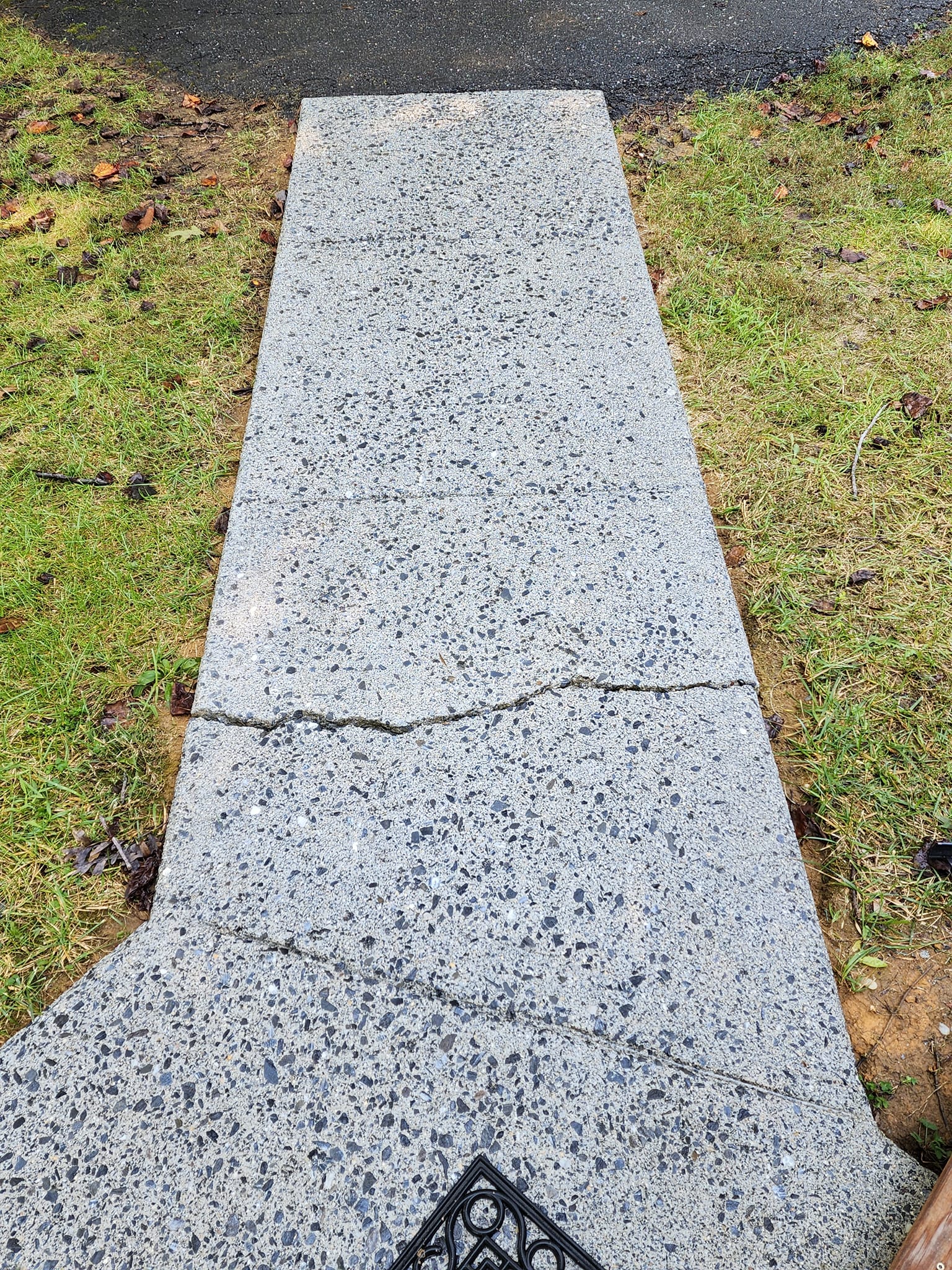 Concrete path with a crack, surrounded by grass.