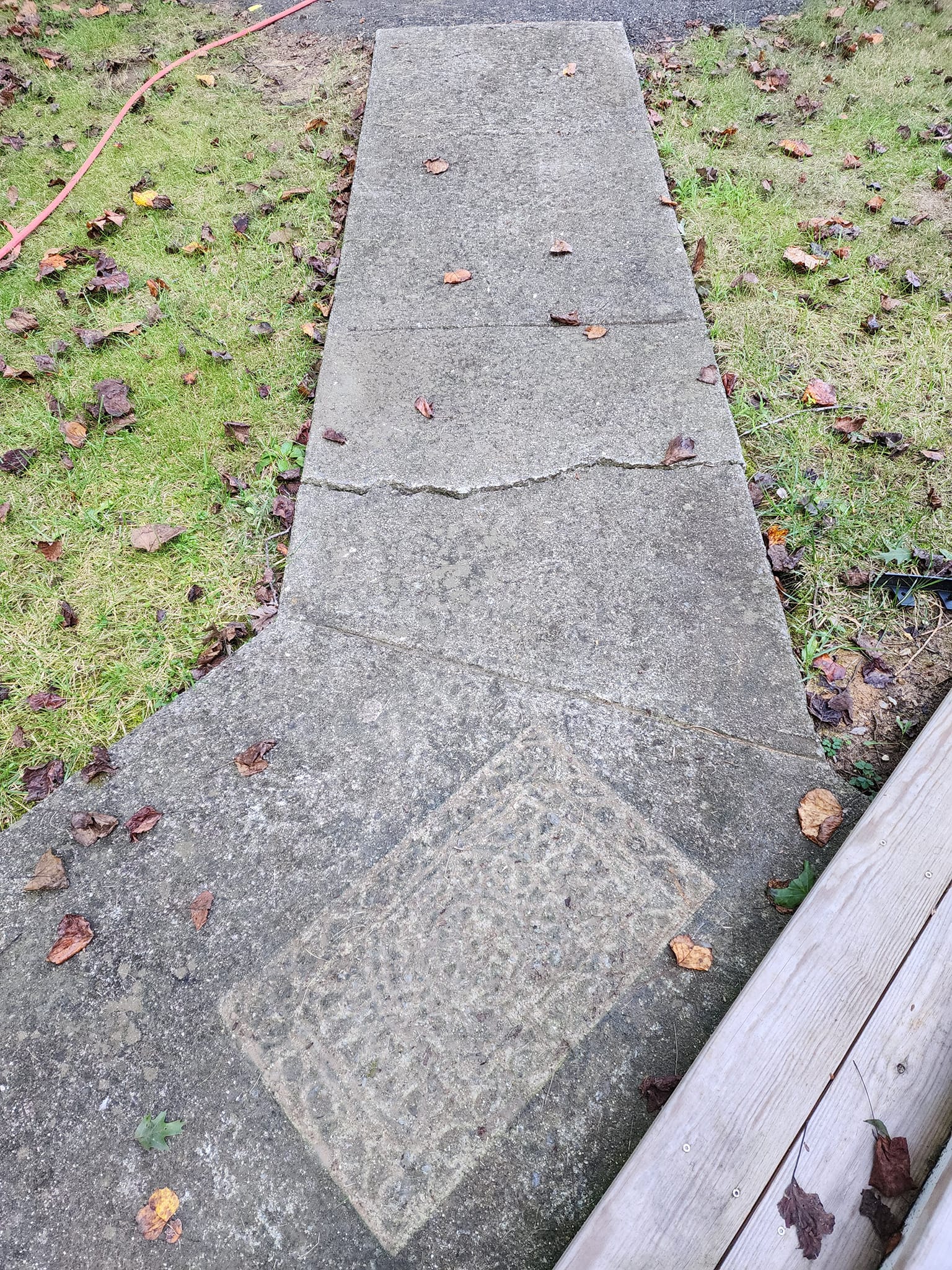 Cracked concrete sidewalk with a broken section, surrounded by grass and fallen leaves.