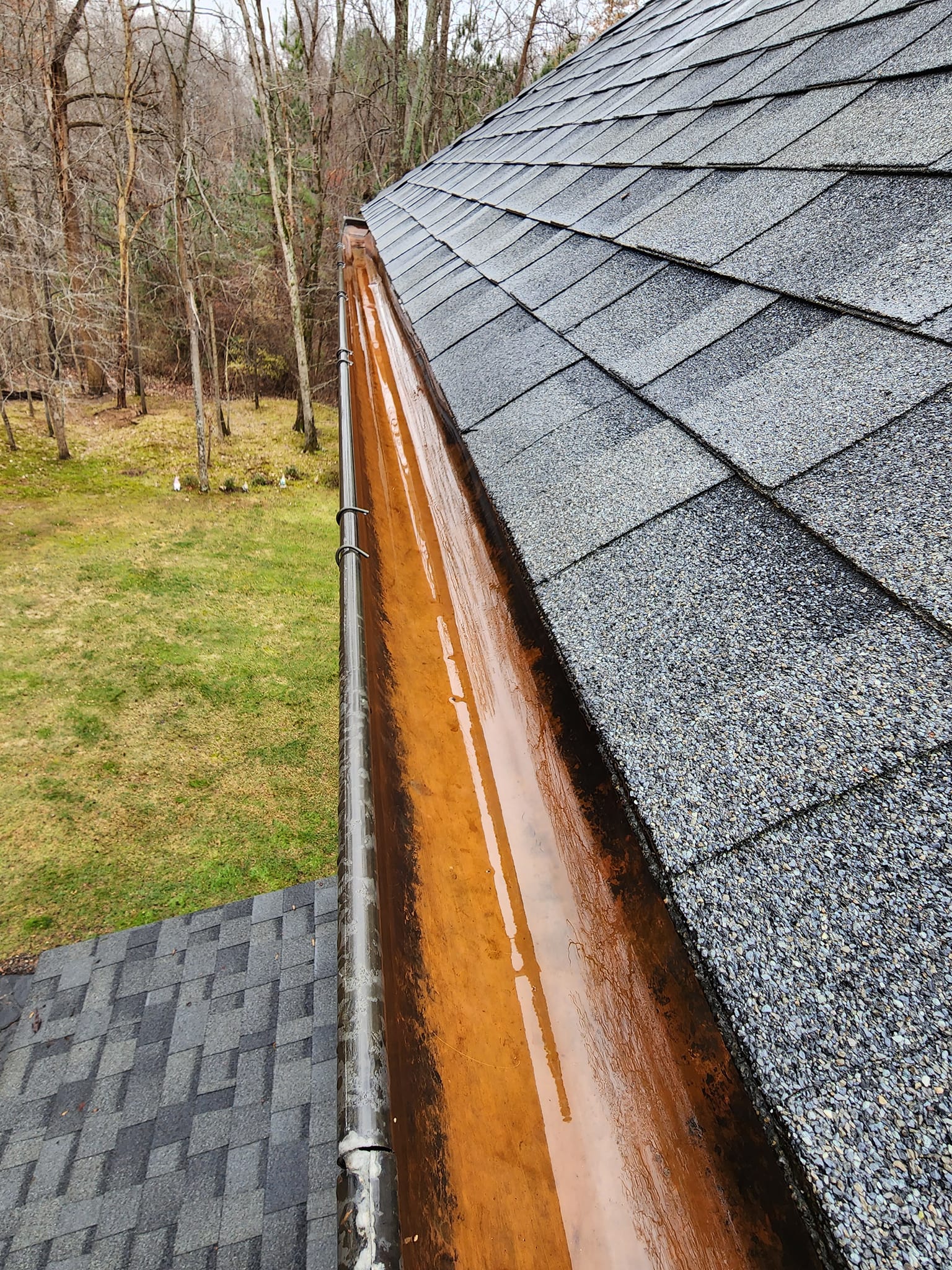 Overflowing brown gutter on a roof with grey shingles; a forest in the background.