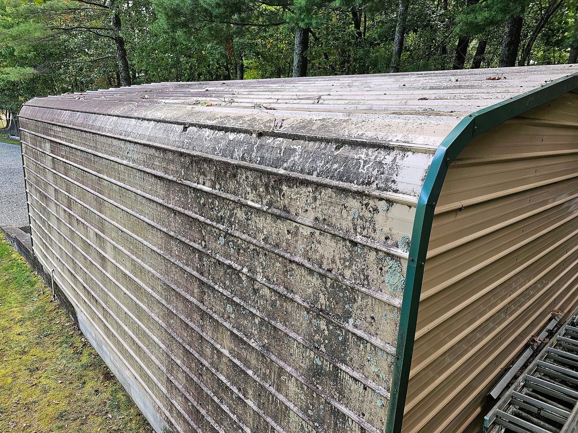 A weathered metal storage shed with horizontal siding, covered in moss and algae. Green trim.