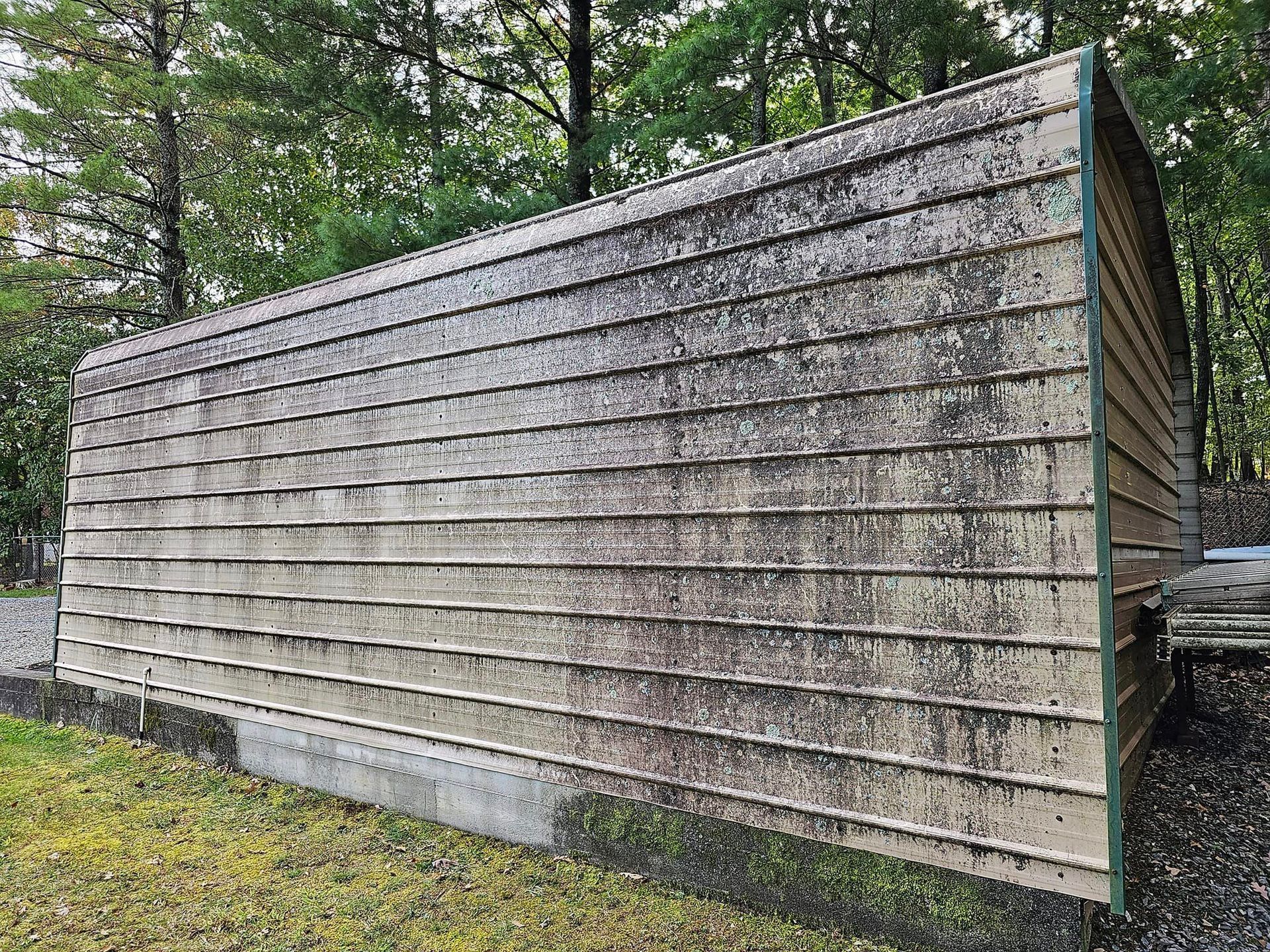 Weathered shed with tan siding and dark mildew, set against trees.