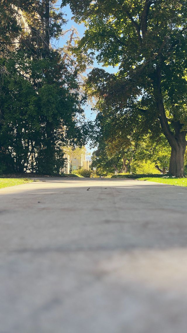 Sunlit park path under leafy trees, with a bright opening in the distance.