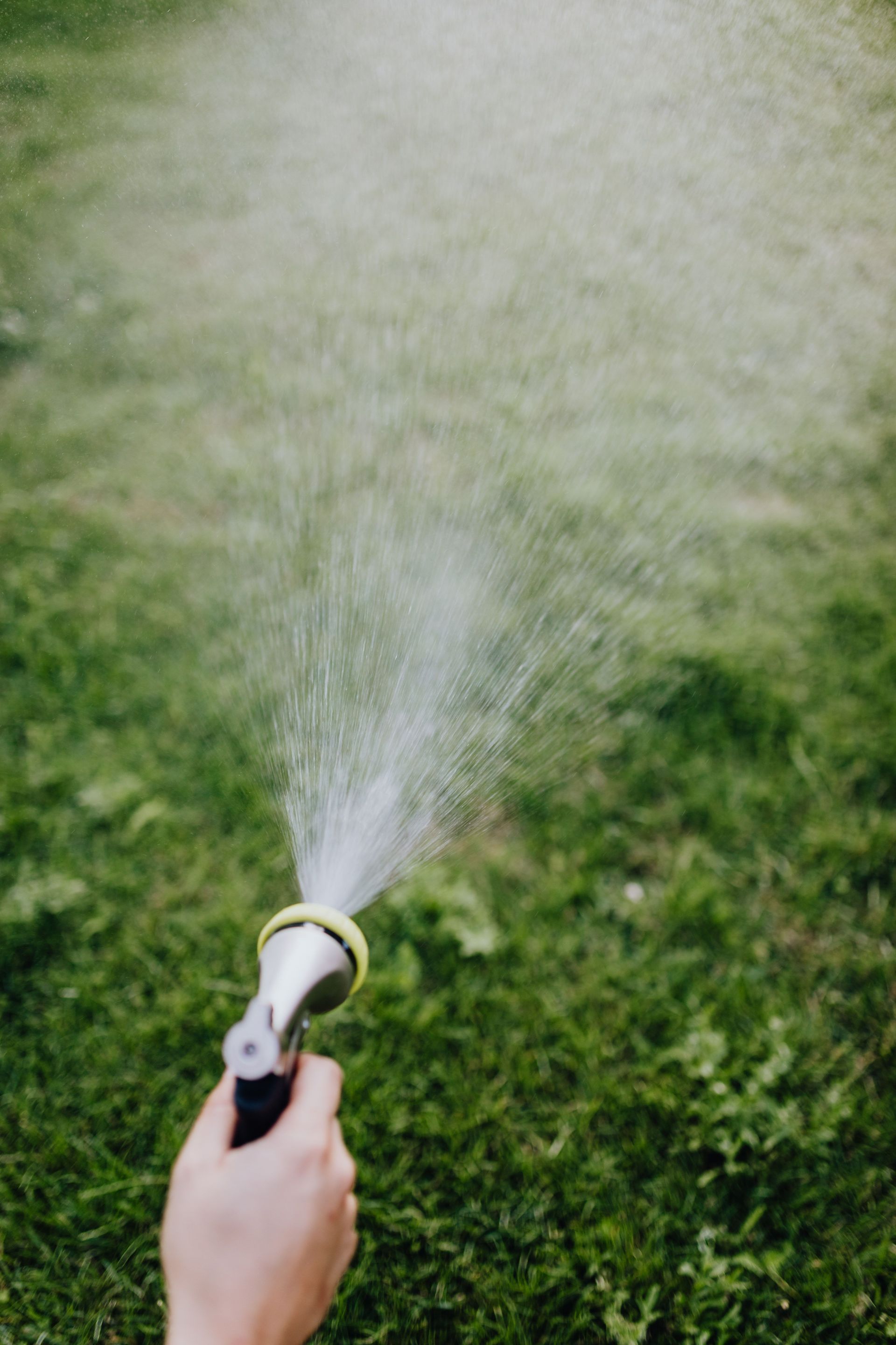 Hand holding a garden hose spraying water over a green lawn