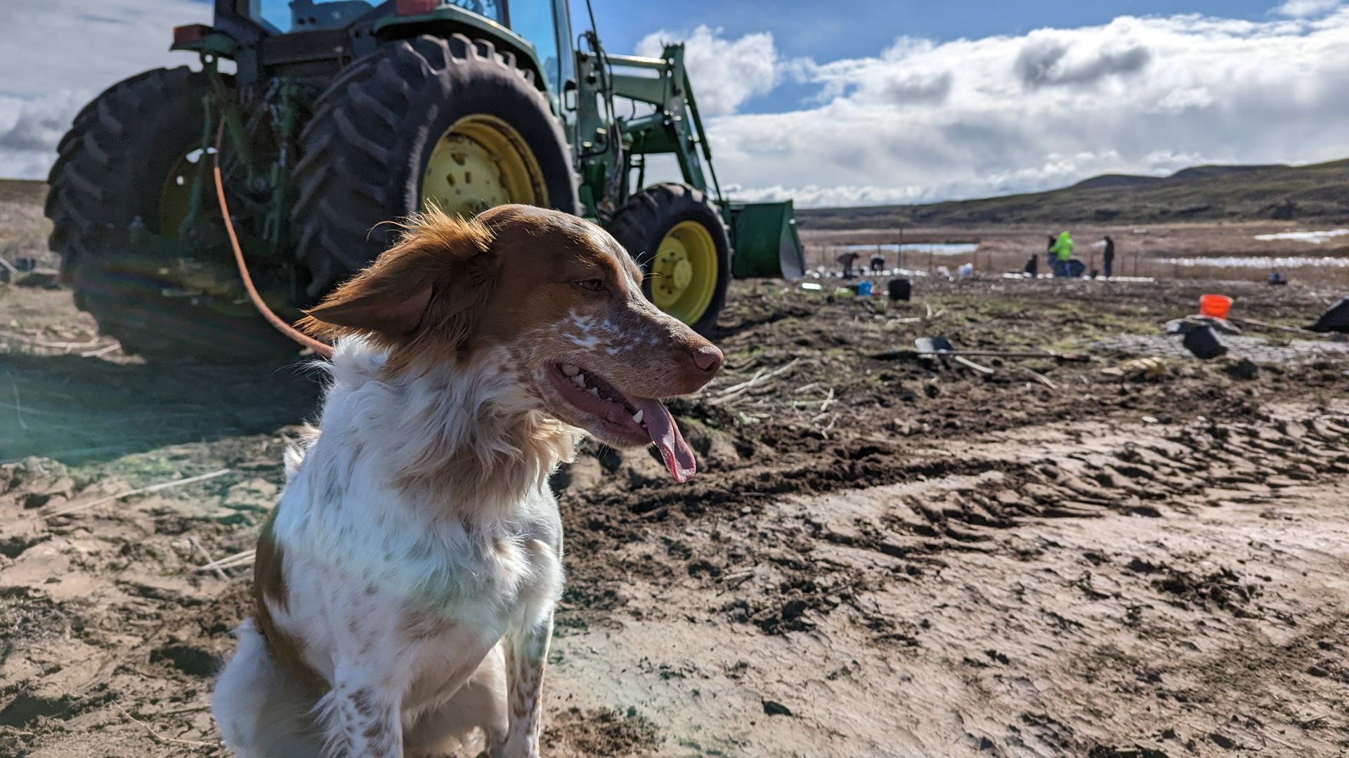 Young Boy Holding A Gun Looking At The Dog — Tacoma, WA — Pheasants Forever
