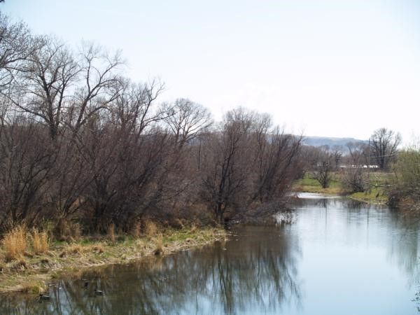 Beautiful Field — Tacoma, WA — Pheasants Forever Beautiful Field — Tacoma, WA — Pheasants Forever
