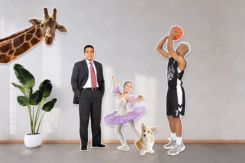 Life-size cutouts Set of life-size cutouts ranging from a giraffe to a basketball player.