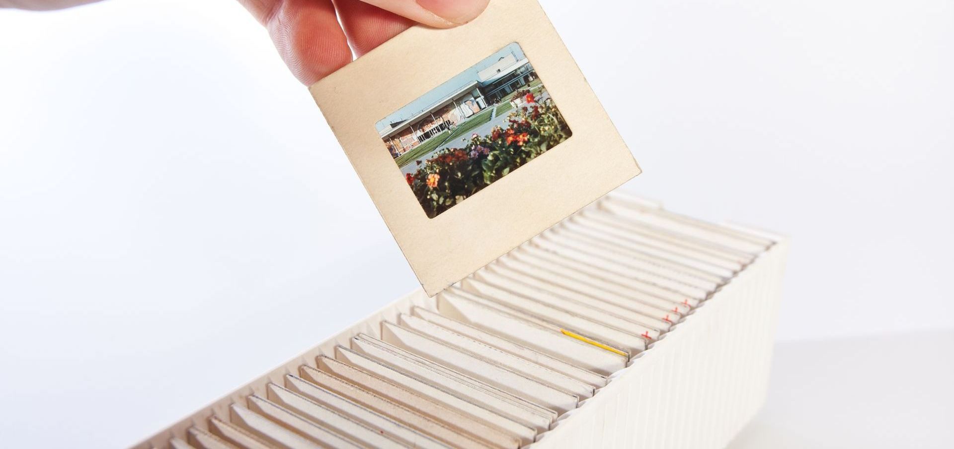 Hand pulling out 35mm slide from a stack of others.