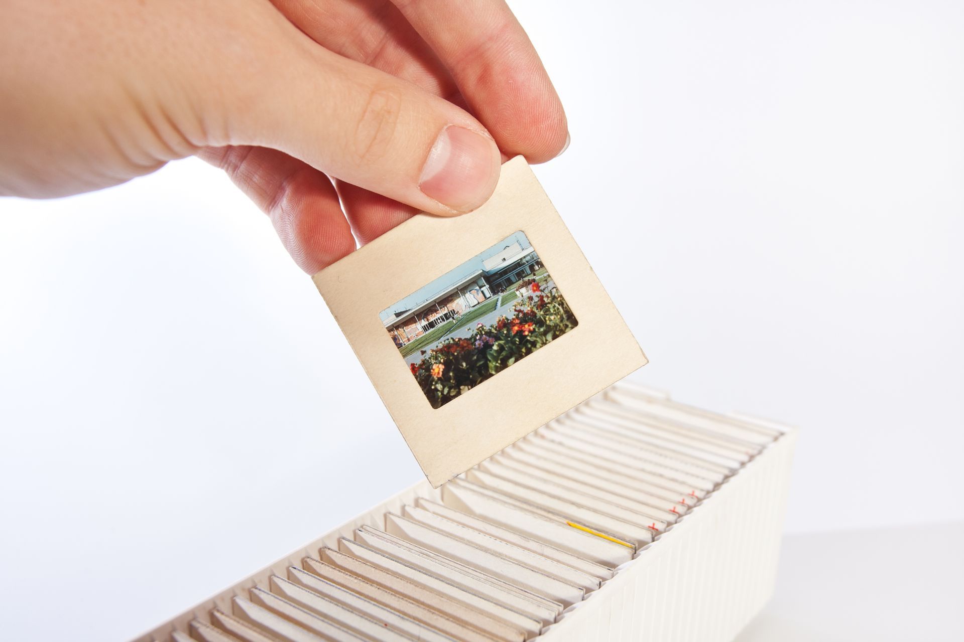 Slide Scanning