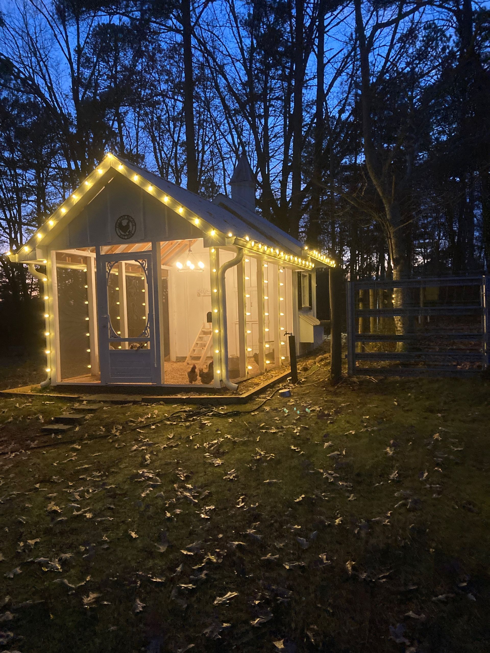 A small white house with christmas lights on it
