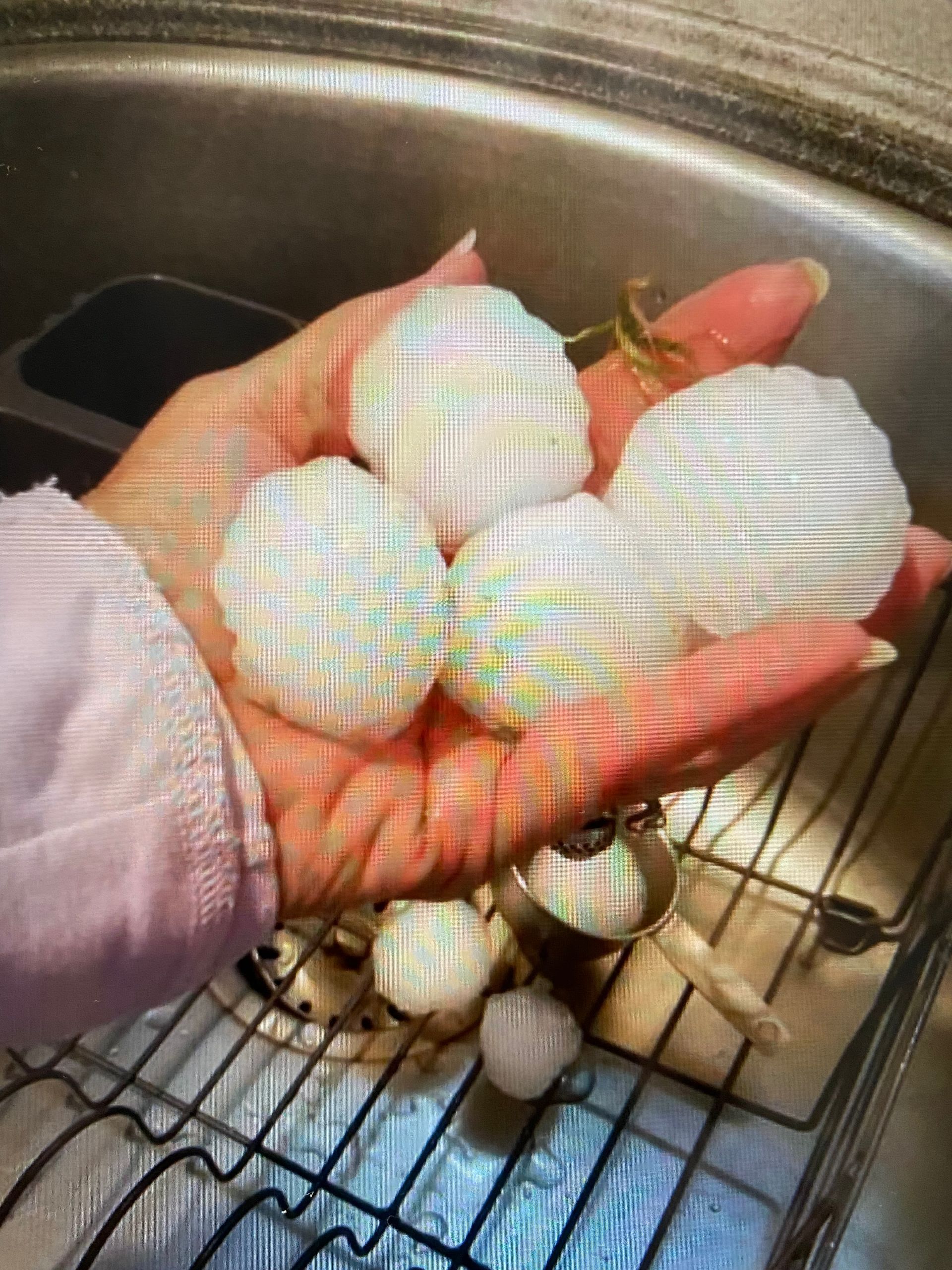 Hand holding four white textured bath bombs over a sink drain when ready to use