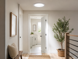 Bright hallway with a bench, framed wall art, potted tree, and open doorway to a bathroom or vanity area