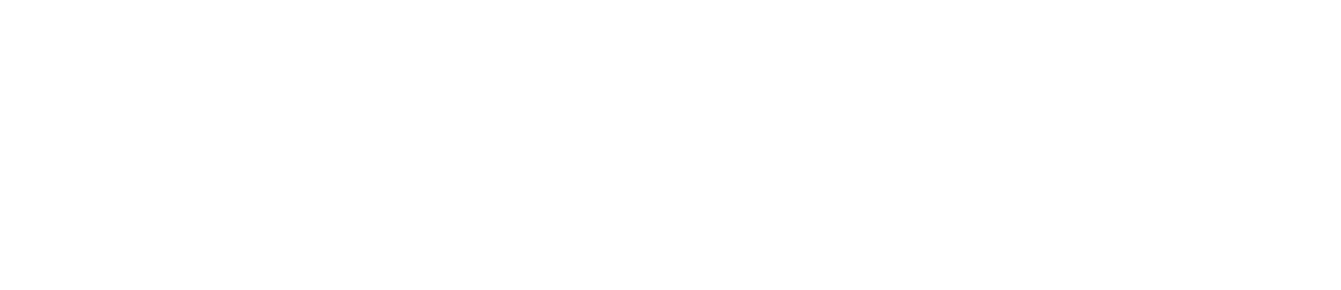 ANTONIOLI LOGO