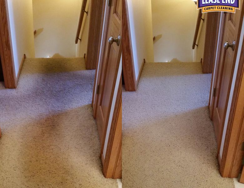 carpet cleaning service
