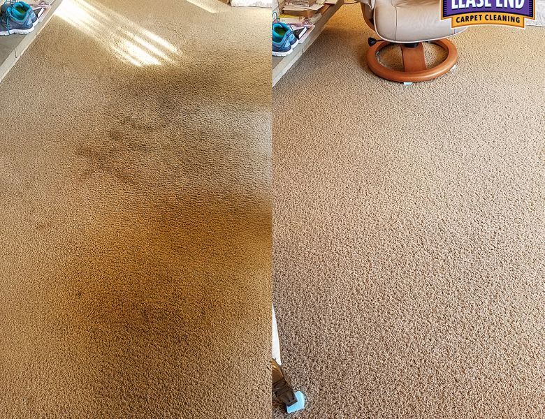 carpet cleaning service