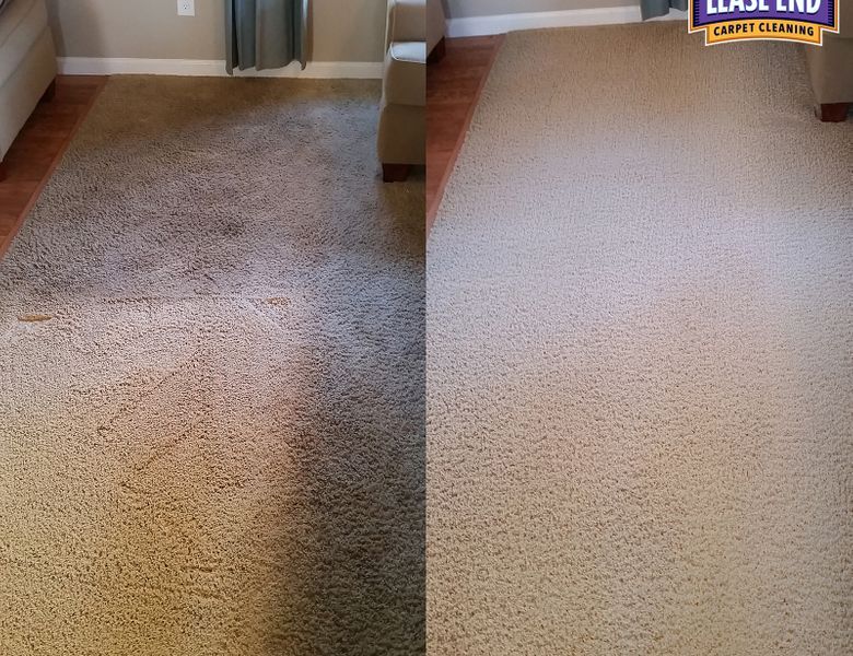 carpet cleaning service
