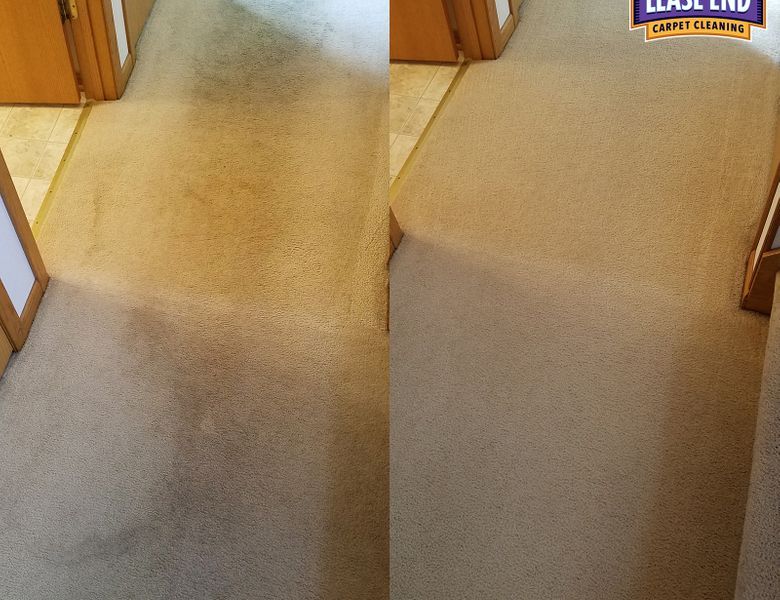 carpet cleaning service
