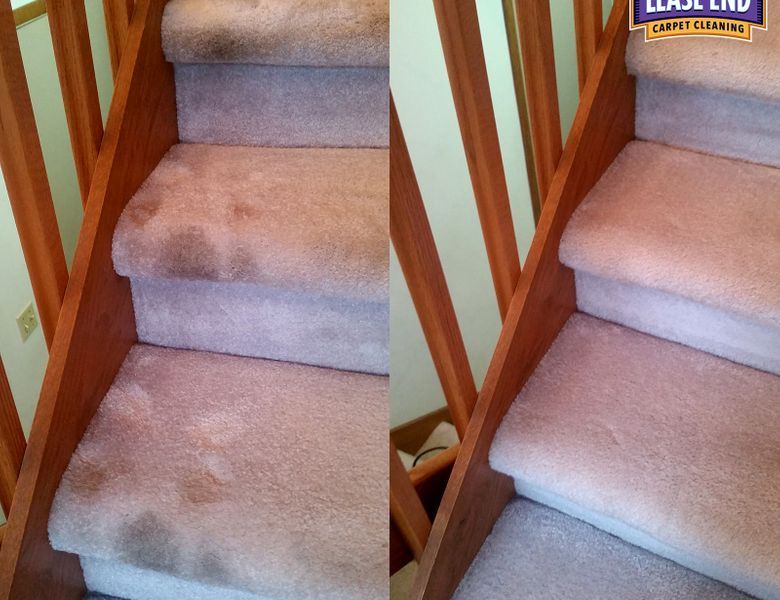 carpet cleaning service