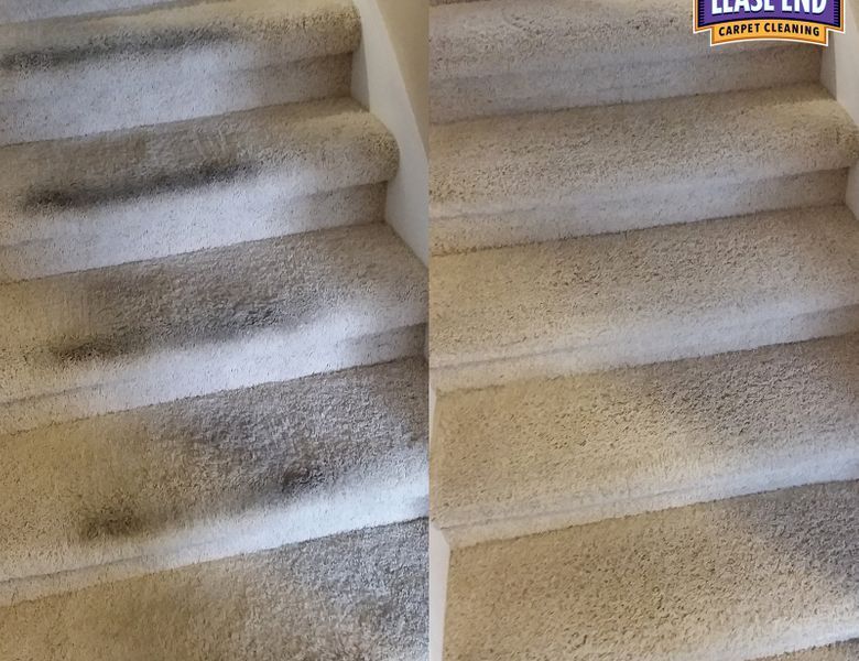 carpet cleaning service