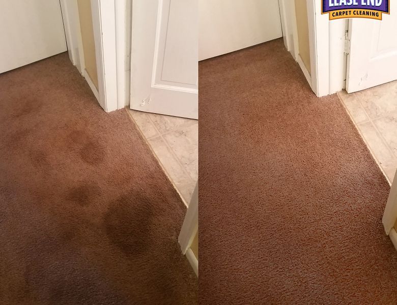 carpet cleaning service