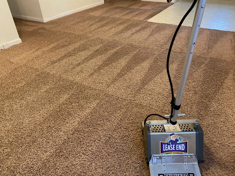 carpet cleaning service