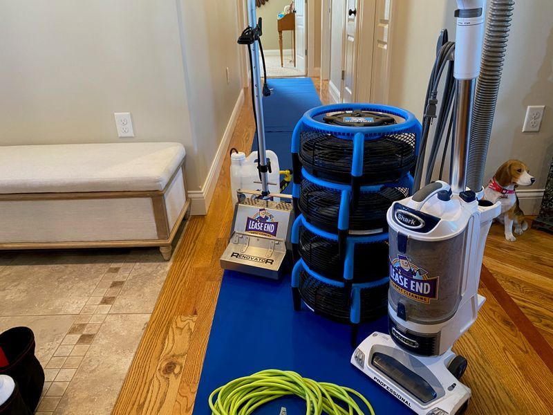 carpet cleaning service