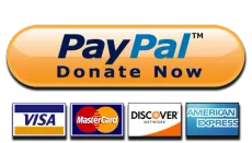 A donate button is surrounded by credit card logos.