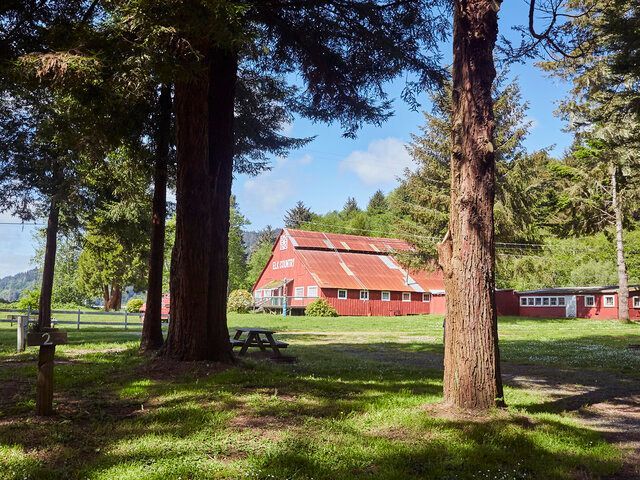 Red barn in a sunlit park with tall trees and a picnic table in the foreground