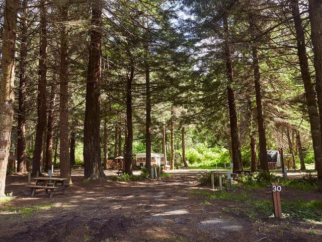 Wooded picnic area with tall trees, tables, and a dirt path in dappled sunlight