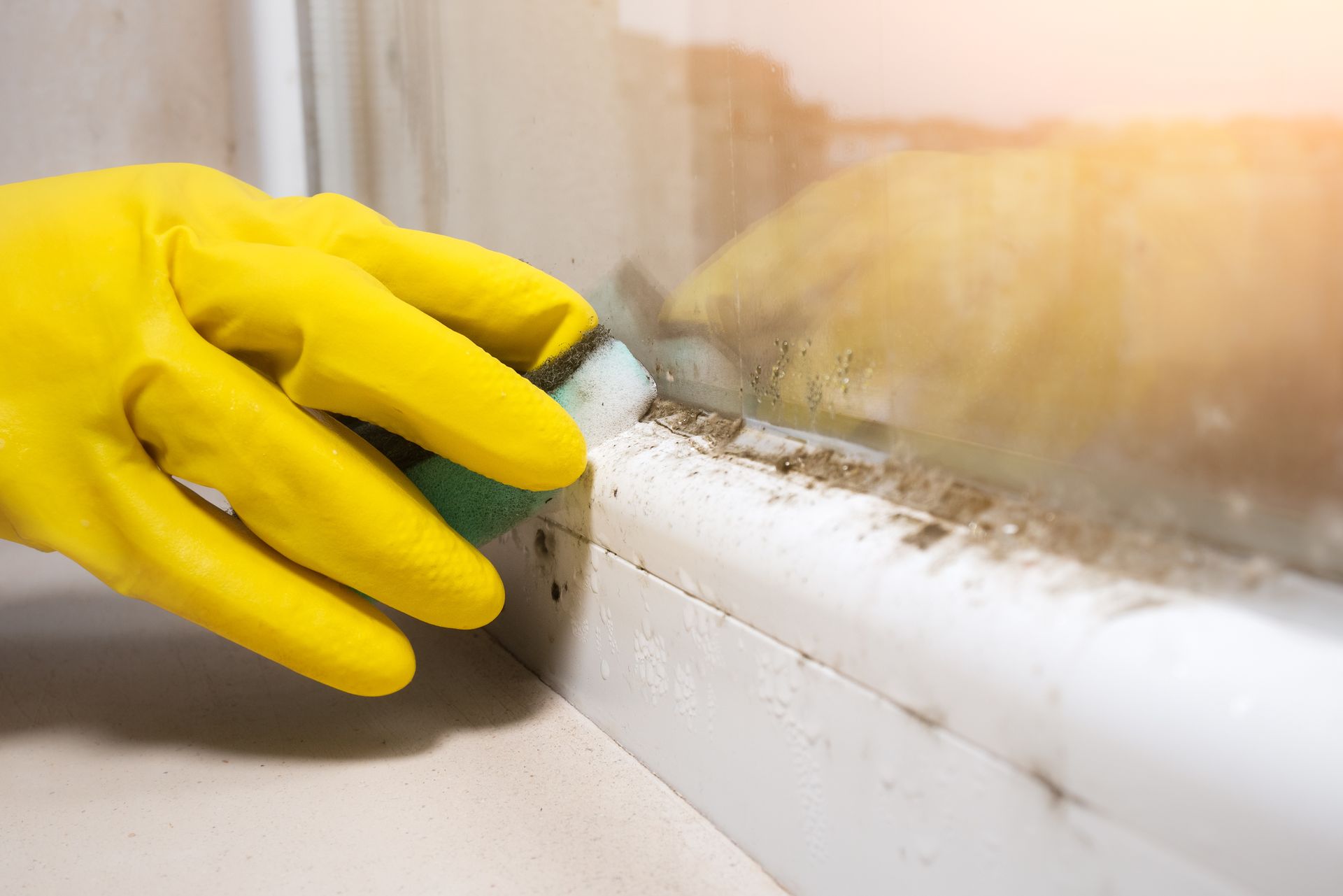 A yellow-gloved hand cleaning black mould fungus growing on a windowsill. A yellow-gloved hand cleaning black mould fungus growing on a windowsill.