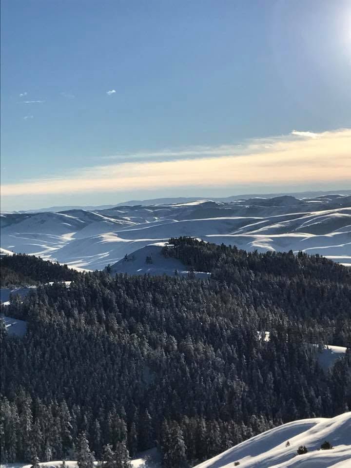 Snow-covered forested hills and rolling mountains under a clear blue sky at sunrise.