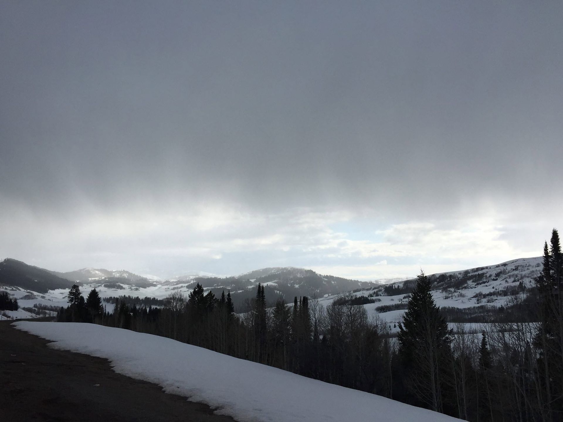 Snowy mountain landscape under a cloudy sky, with dark pine trees in the foreground