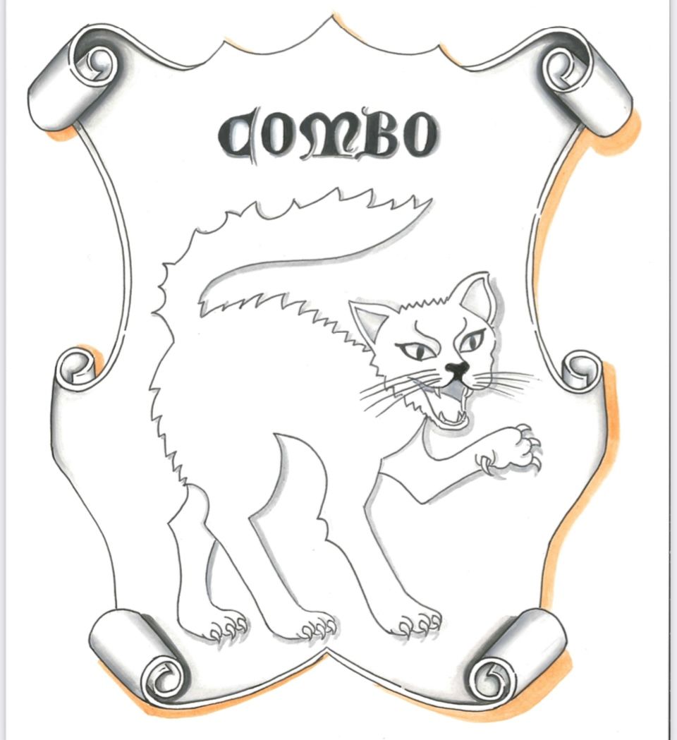 Un disegno di un gatto con la parola combo sopra