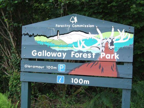 Welcome to the Galloway Forest Park, south west Scotland