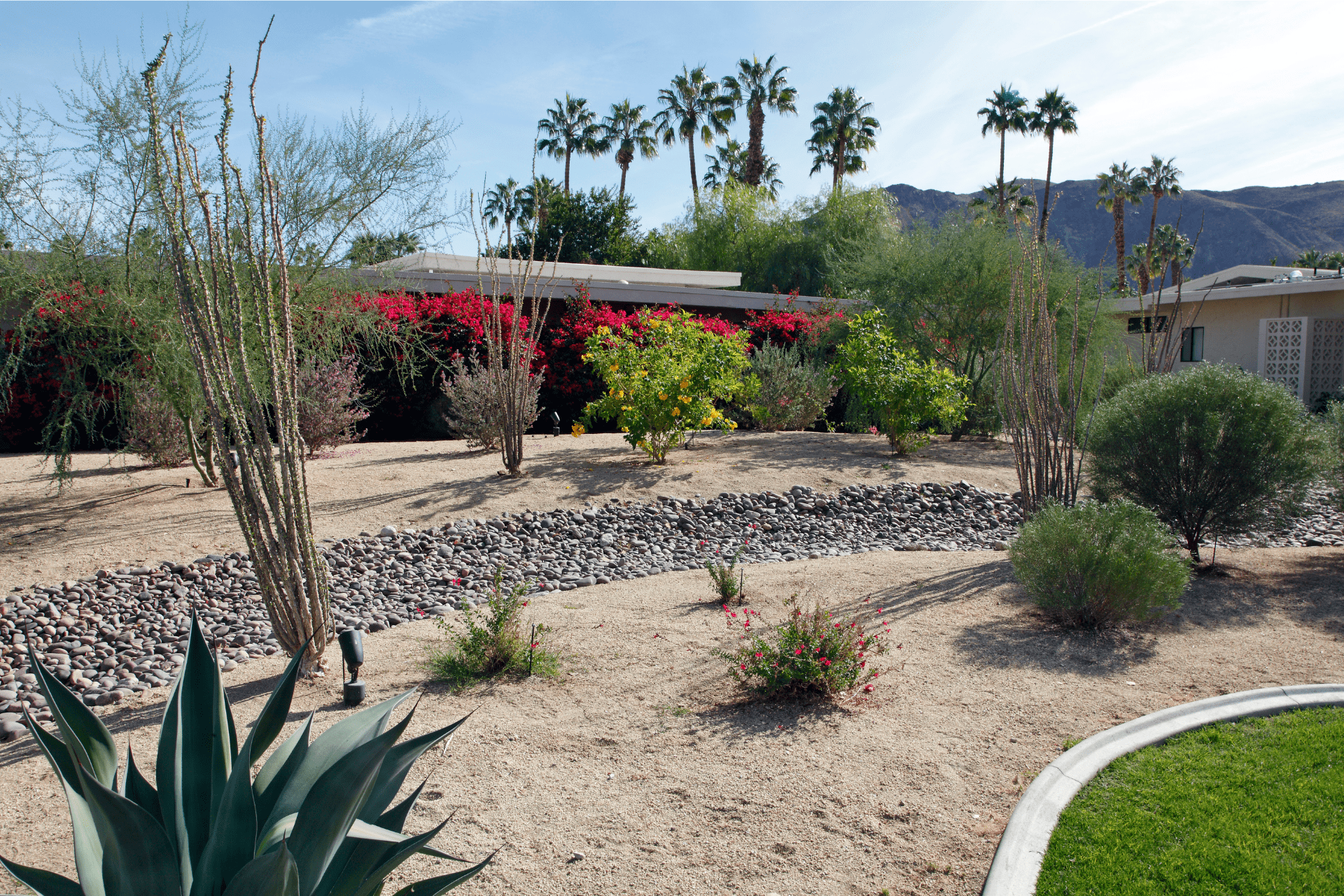 Front yard that has gone through our xeriscaping to conserve water