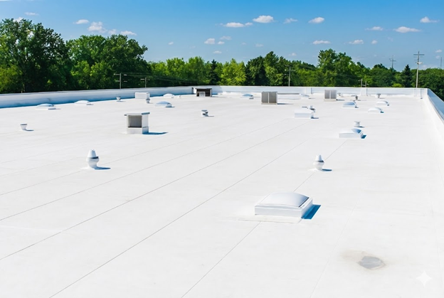 roof restoration services