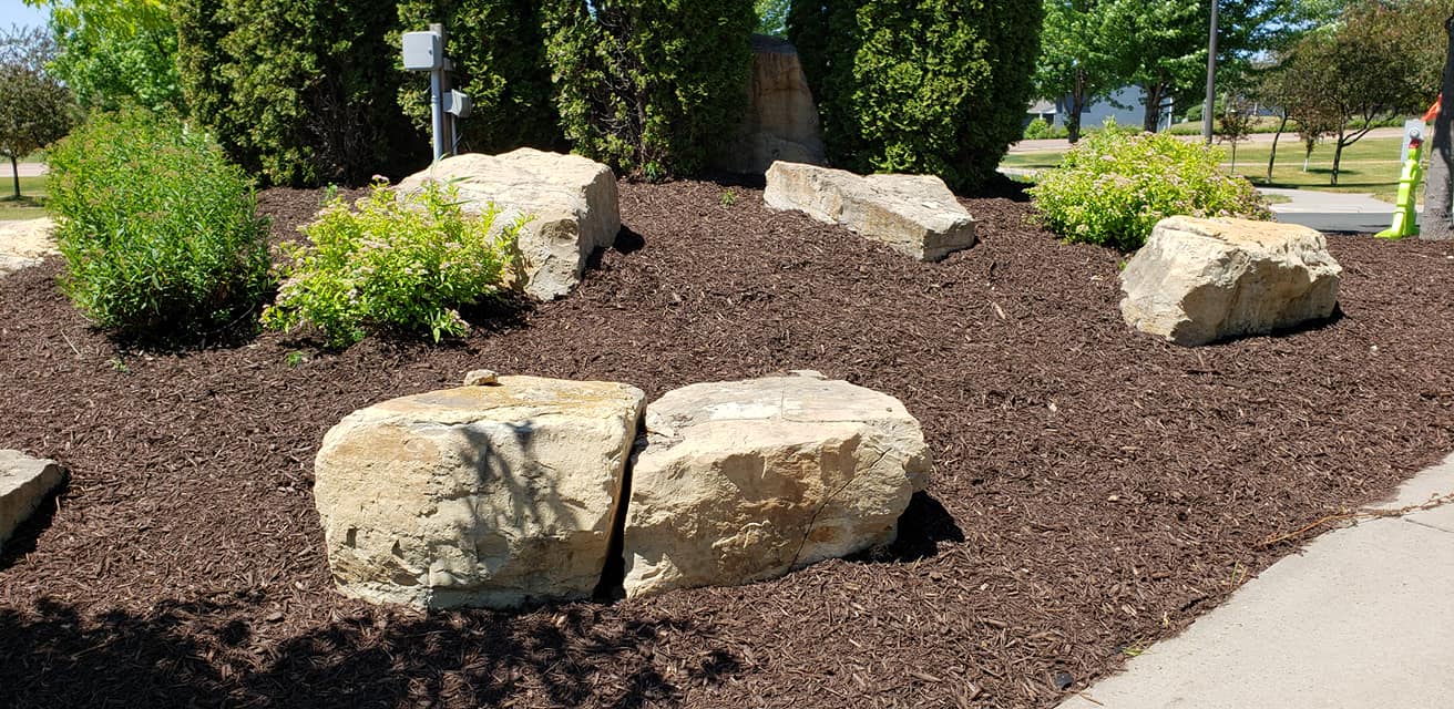 there are a lot of rocks in the garden .