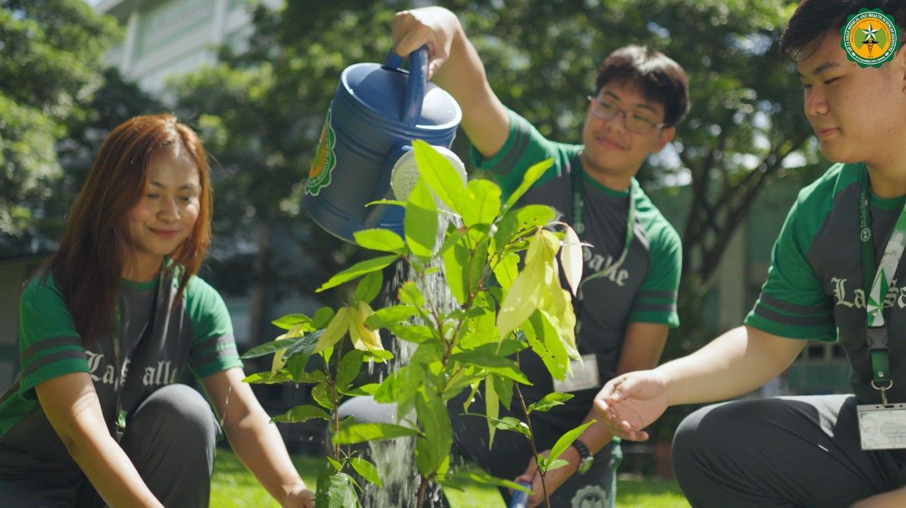 People watering a young tree outdoors in bright sunlight.