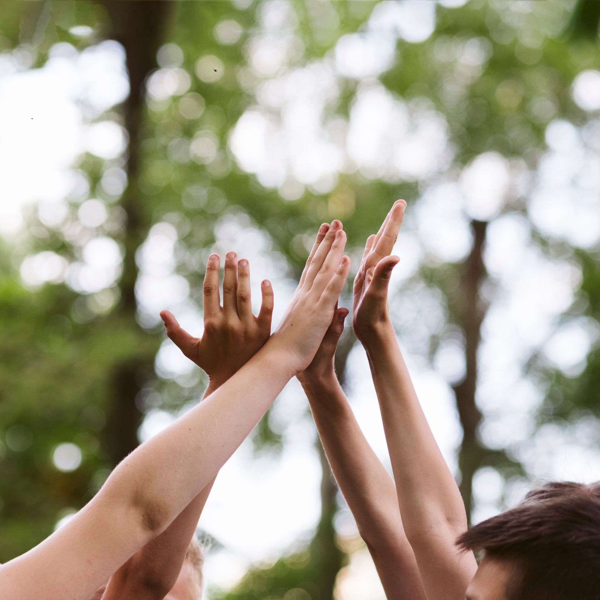 Raised hands meeting in a group high-five outdoors with blurred green trees in the background