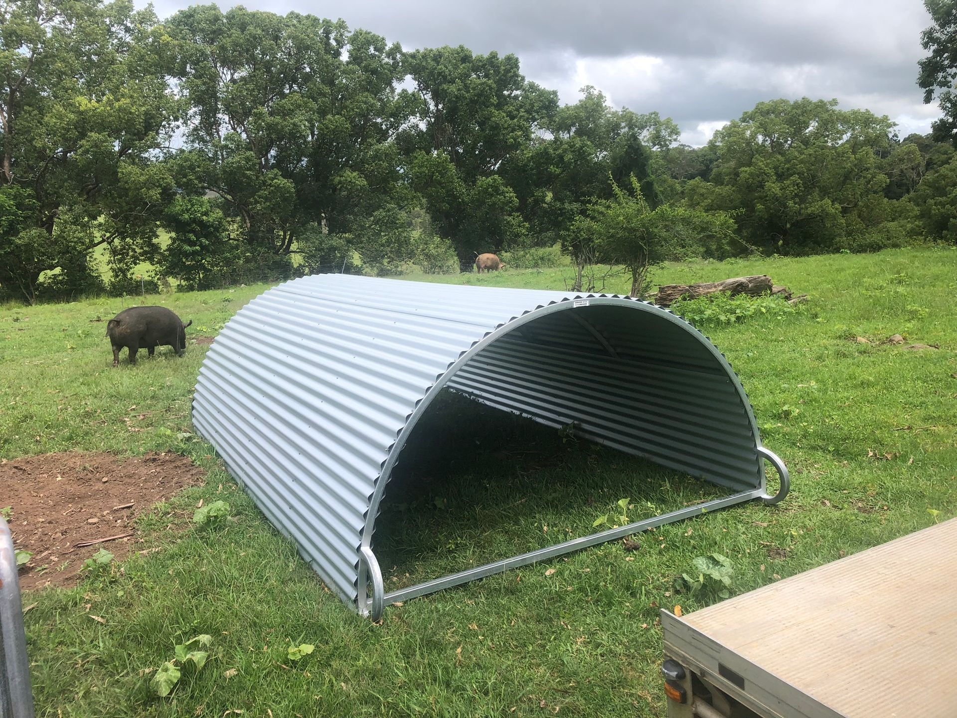 Corrugated Metal Animal Shelter On Green Grass — Soward Steel & Aluminium Fabrication in South Lismore, NSW