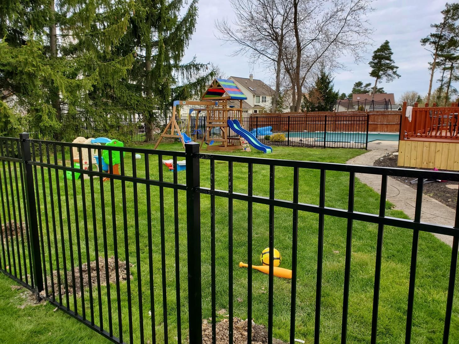 Black fence contrasting with a vibrant green tree in the background.