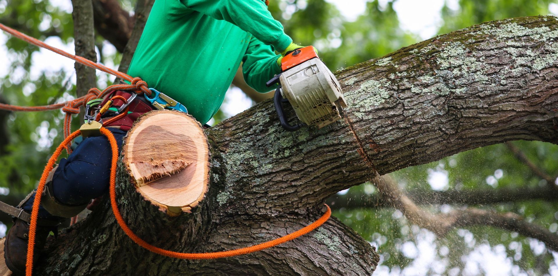 A man is cutting a tree branch with a chainsaw.